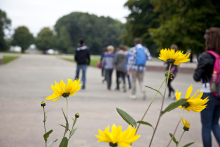 RS7901 Sts Ypres.247 Scr