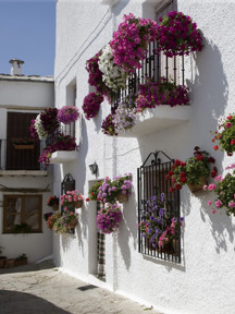 Granada Town Balcony