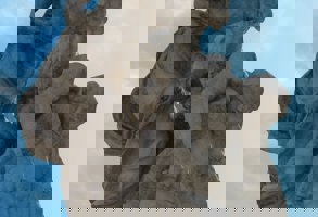 Rome Palazzo Massimo Alle Terme