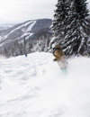 Stoneham