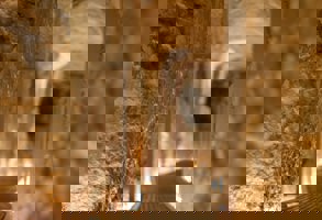 Rome Catacombs Of St Callixtus