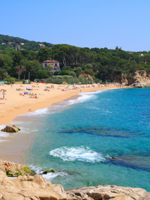 19873Scr F6fde2cdaa8912f