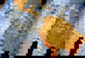 Edinburgh Dynamic Earth