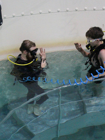 Microgravity Pool Resized