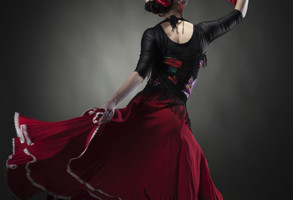 Granada Flamenco Experience
