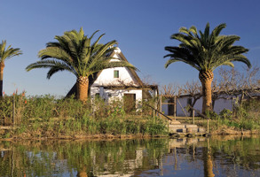 Valencia L Horta De Valencia