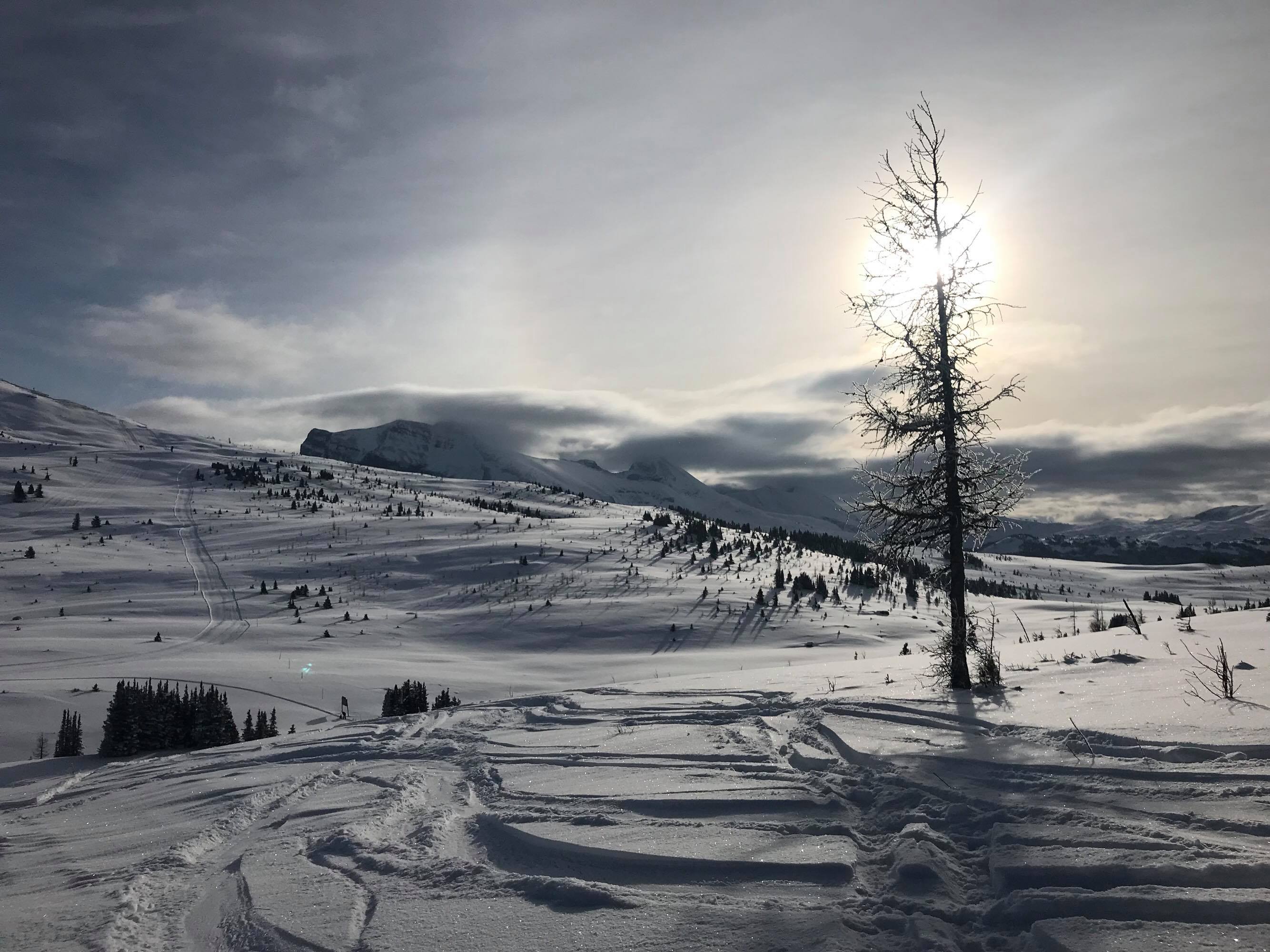 skiing in Banff & Lake Louise