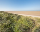 RS85091 Dreamstime L 104325178