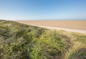 RS85091 Dreamstime L 104325178