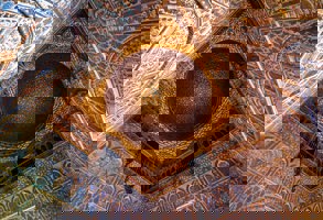 Seville Royal Alcazar