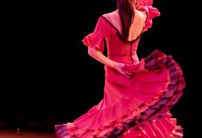Malaga Flamenco