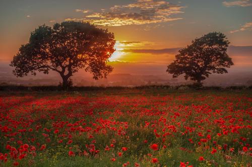 The beautiful countryside surrounding Ypres and Somme in the late afternoon sun.