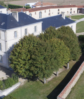 Saint Sauveur Mehdi Media 