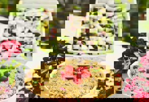 Greece Cookery Lesson