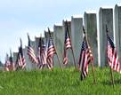 Arlington2