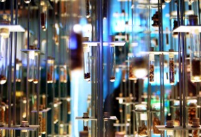 Geneva Science Museum