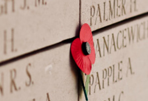 Poppy On War Dead List