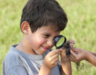 York Minibeast Hunt