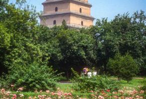 China Wild Goose Pagoda