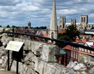 York Limestone Rock Study