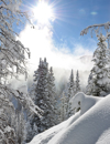 Winter Park