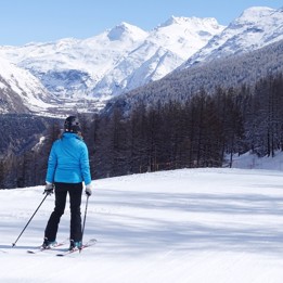 skier in a blue jacket