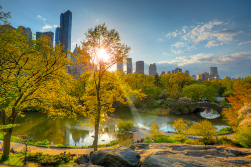 Central park in the daytime sun