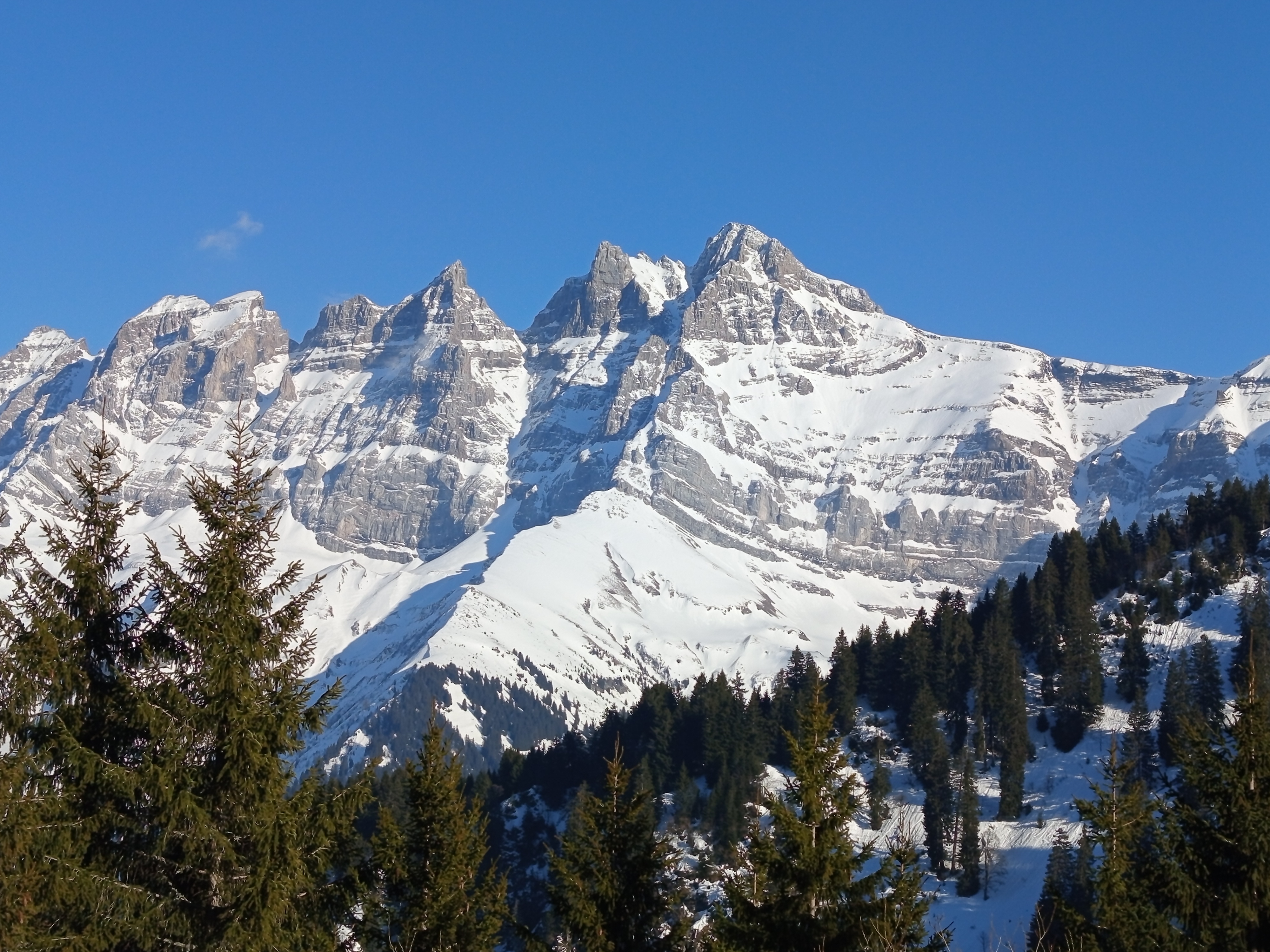 School ski trips to Les Crosets destination