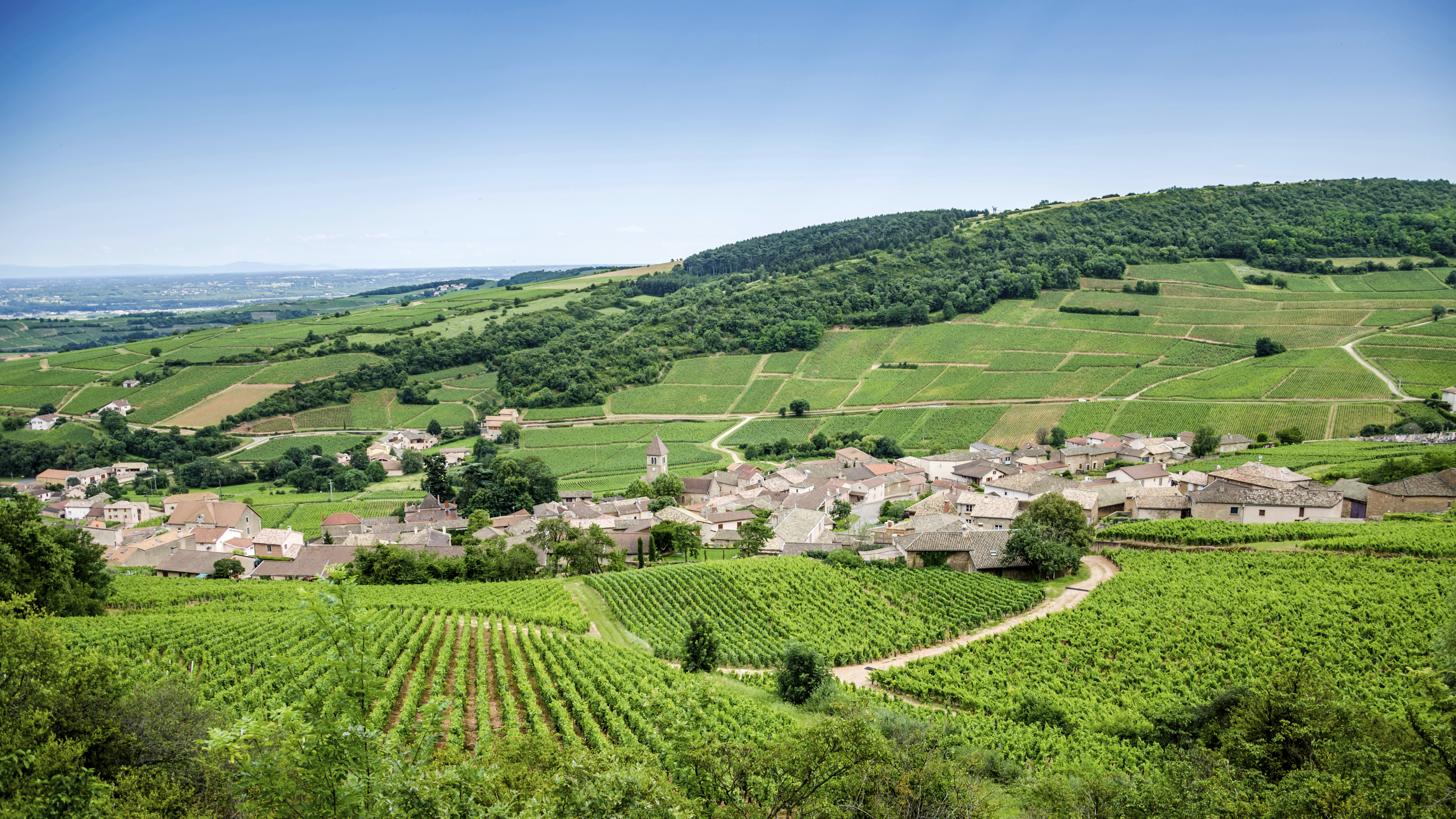 French language school trips to Loire Valley destination