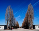 Munich Dachau Concentration Camp