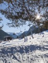 skis in the trees