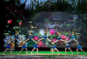 Shanghai Acrobatics Show