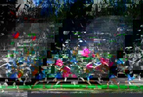 Shanghai Acrobatics Show