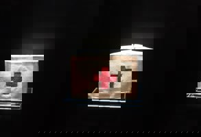 Geneva Red Cross Museum