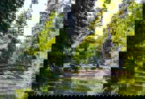 Photo 1568736771265 67Cb84770fef Min Min