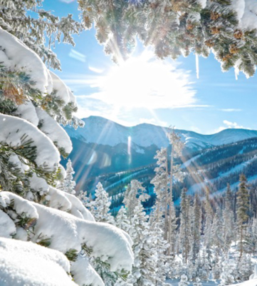 Winter Park