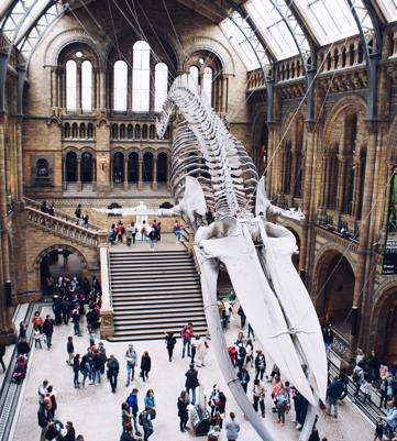 London Natural History Museum
