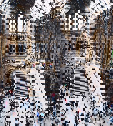 London Natural History Museum