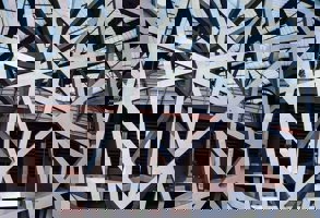 Beijing Olympic Stadium 1