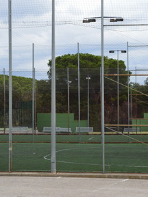 53944Scr 711Fc18c00be8f0