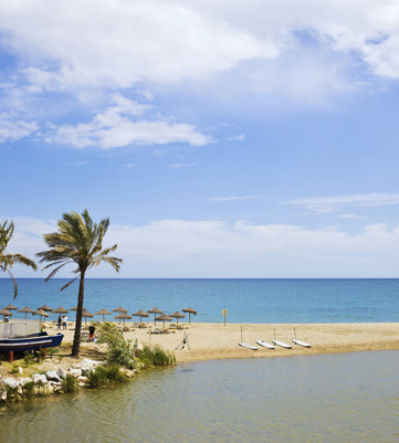 Malaga Malagueta Beach