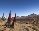 Tenerife Casa Bioclimatica
