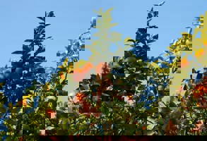 Thomas Grubler X Hiqrfp6fa Unsplash