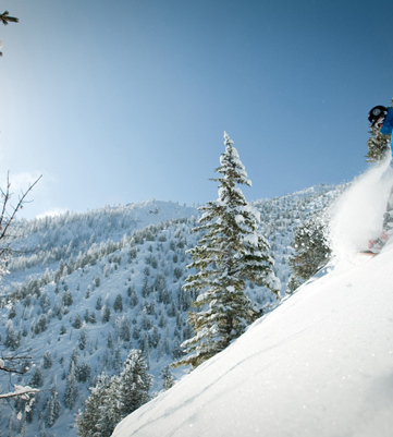 Panorama Skiing 11