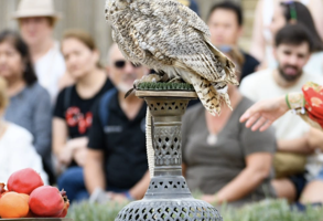Screenshot 2026 09 29 At 11.27.39