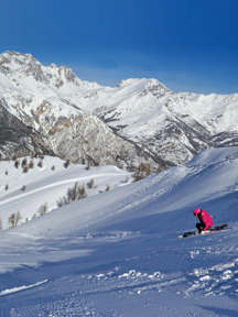 Baz8644modif In Alta