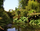 Cornwall Lost Gardens Of Heligan