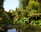 Cornwall Lost Gardens Of Heligan