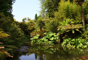 Cornwall Lost Gardens Of Heligan
